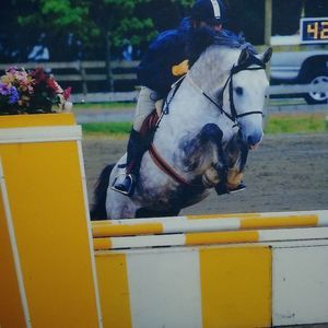 Meet your Posher, Kelsey